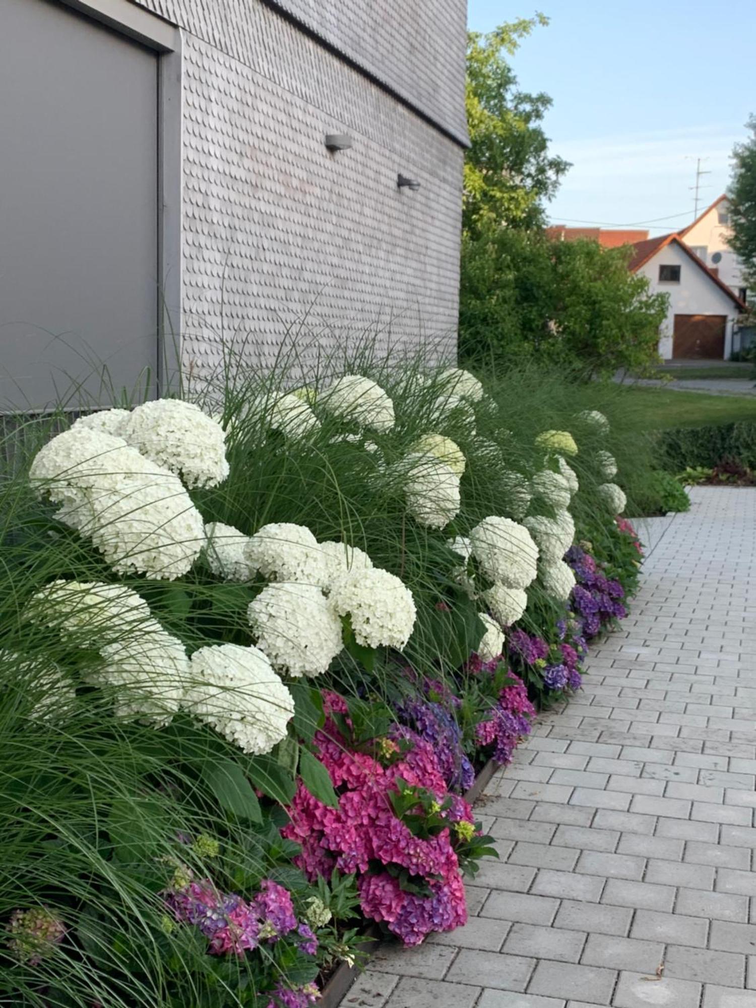 Ferienwohnung Trilogie Am See - Maulbeere Stetten  Luaran gambar